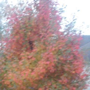 Meet your Posher, Herbert